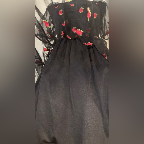 Hot Topic- Cosmic Aura Embroidered Rose Mesh Mini Dress - Picture 5 of 8